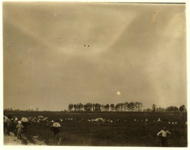 General View, Whites Bog, Browns Mills, N.J. This is the fourth week of school and the people here expect to remain two weeks more. E.F. Brown (Witness). LOC nclc.05295