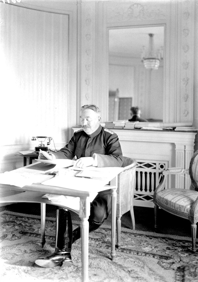 General Wille - CH-BAR - 3237762
