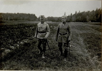 Generaloberst Kövess-Kövesshaza und General Georg Fuchs, 15.9.1916 (BildID 15550559)