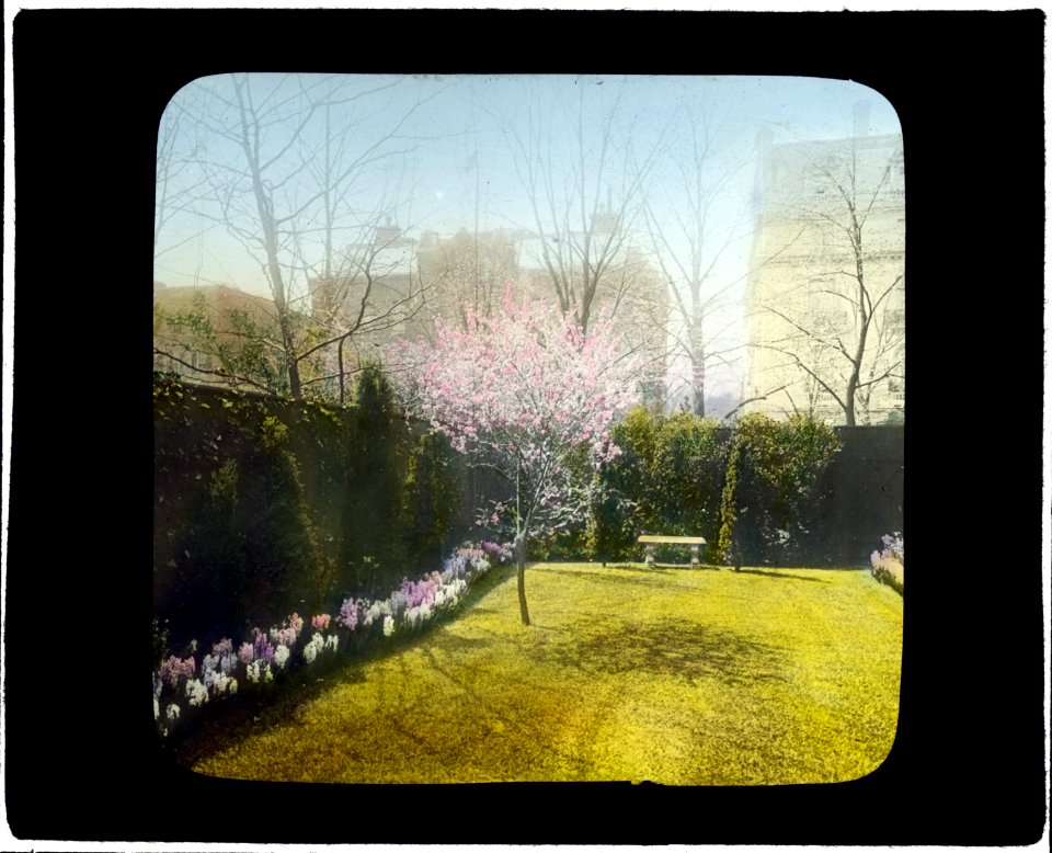 General William Crozier house, 1735 Massachusetts Ave., NW, Washington, D.C. Hyacinth border and lawn LCCN2008675981