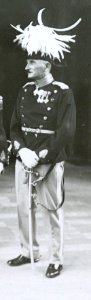 Generals and Admirals - Holger Damgaard (cropped, Halfdan Rørdam)