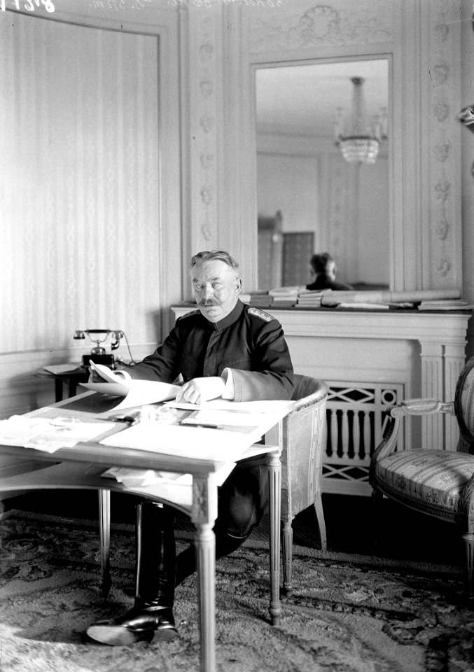 General Wille - CH-BAR - 3237761