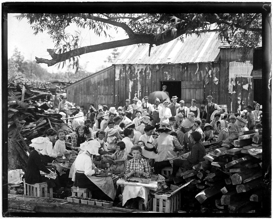 General view of the hulling station of A.J. Johnson. Seaford, Del. - NARA - 523315