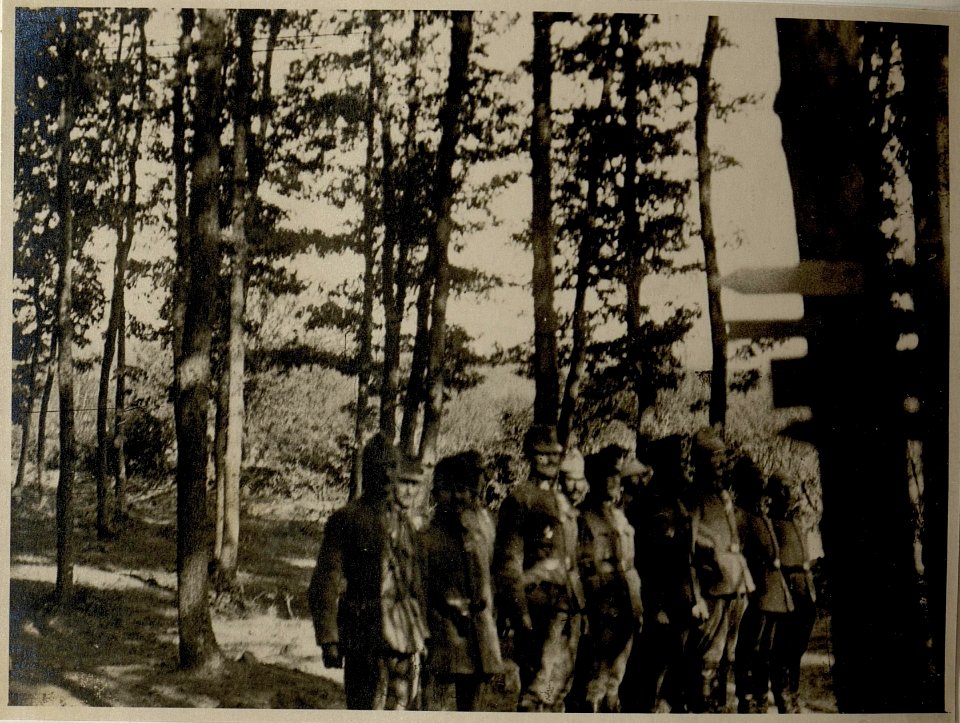 Generalfeldmarschall August von Mackensen besichtigt Truppen im Taslanwald (BildID 15545287)