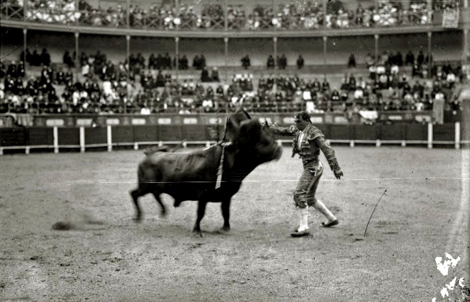 El torero mexicano Rodolfo Rodarte toreando en la plaza de toros de Tolosa (2 de 2) - Fondo Car-Kutxa Fototeka
