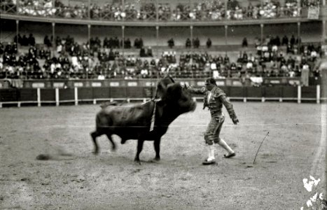 El torero mexicano Rodolfo Rodarte toreando en la plaza de toros de Tolosa (2 de 2) - Fondo Car-Kutxa Fototeka