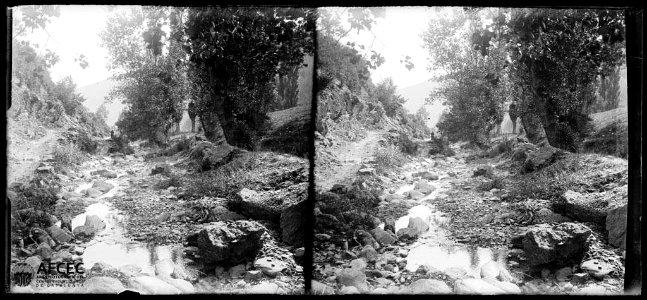 El riu Rigat amb un camí i bosc a la riba