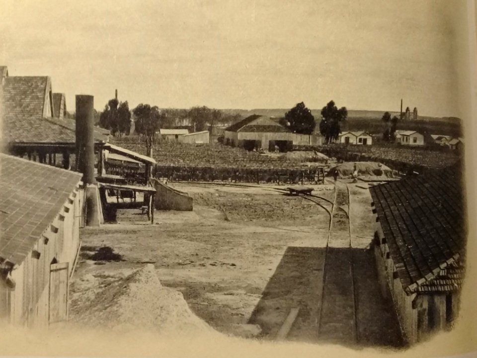 El Saladero San Luis de Berisso 01
