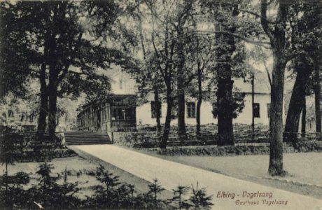 Elbing, Ostpreußen - Gasthaus Vogelsang (Zeno Ansichtskarten)