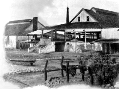 El Saladero San Luis de Berisso 02