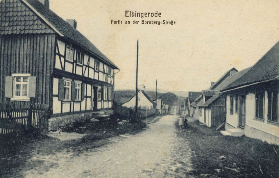 Elbingerode (Harz), Sachsen-Anhalt - Bornbergstraße (Zeno Ansichtskarten)