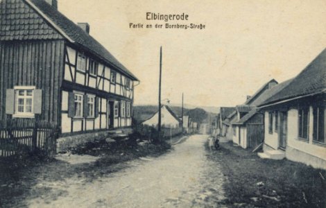Elbingerode (Harz), Sachsen-Anhalt - Bornbergstraße (Zeno Ansichtskarten)