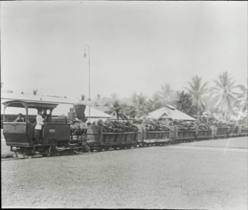 Elaeis guineensis Öl, Aufbereitung, Feldbahn in Nord-Sumatra - Zug mit Wagons gefüllt mit Fruchtstauden der Ölpalmen. 1926-1932 (ETH-Bibliothek Dia 249-OEL-169)