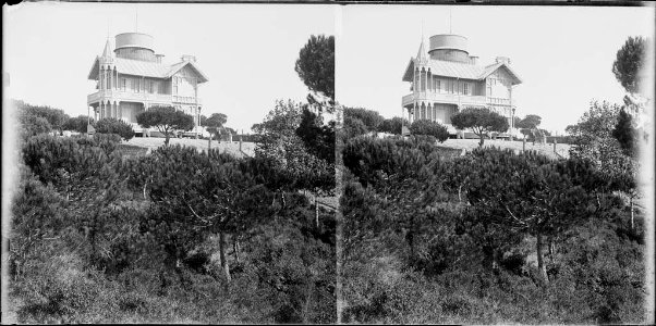 El xalet Mercader voltat de bosc (AFCEC BORDAS D 3964)