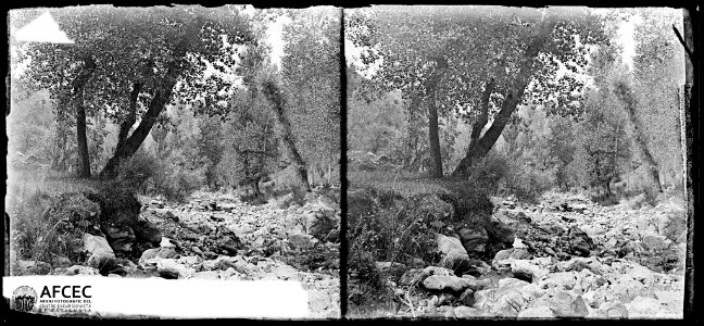 El riu de Serrat voltat de bosc