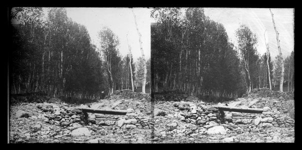 El riu Freser enmig d'uns arbres prop de Batet