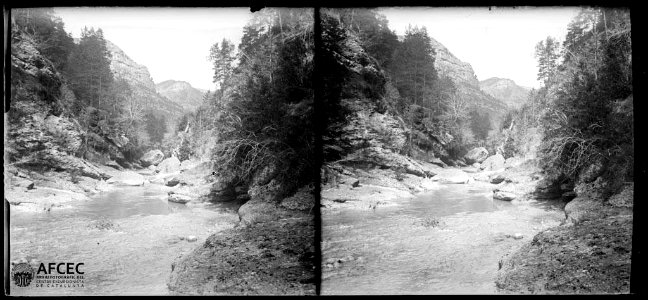El torrent de la Corriu en una vall boscosa