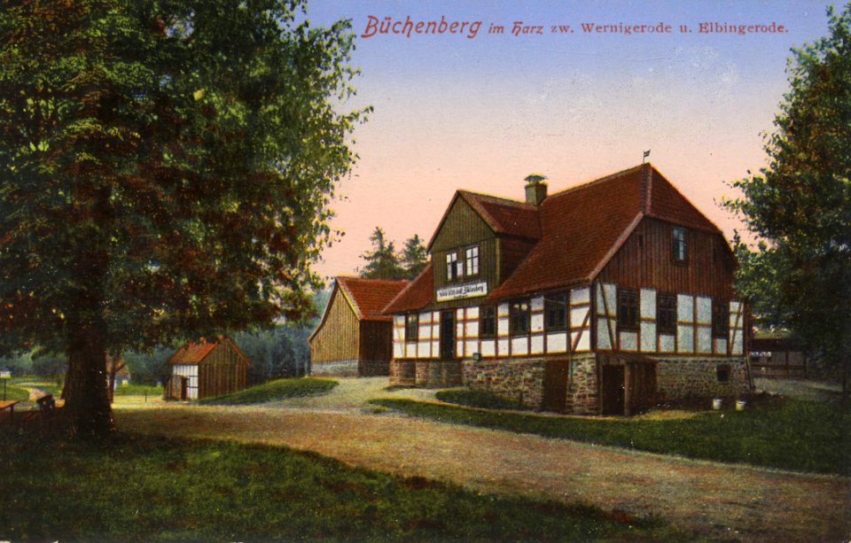 Elbingerode (Harz), Sachsen-Anhalt - Büchenberg (Zeno Ansichtskarten)
