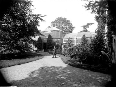 ErfgoedLeiden LEI001014798 Kas in de Hortus Botanicus