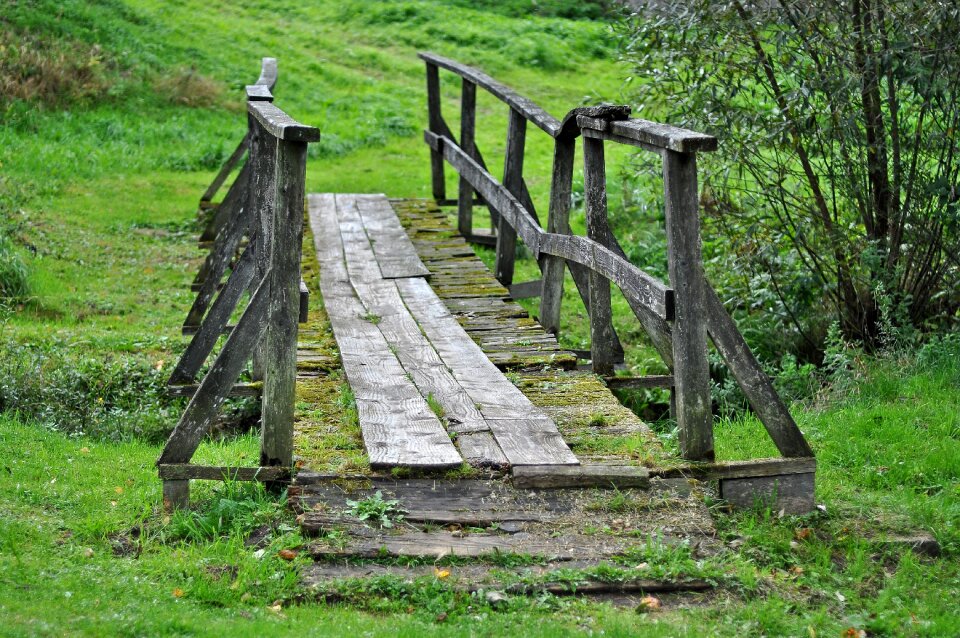 Poland bieszczady wood