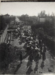 Erbeutetes Schlachtvieh in Muzzano 3.11.17. (BildID 15609573)