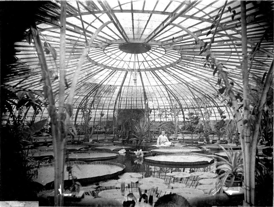 ErfgoedLeiden LEI001014795 Kas met Victoria Regia in de Hortus Botanicus