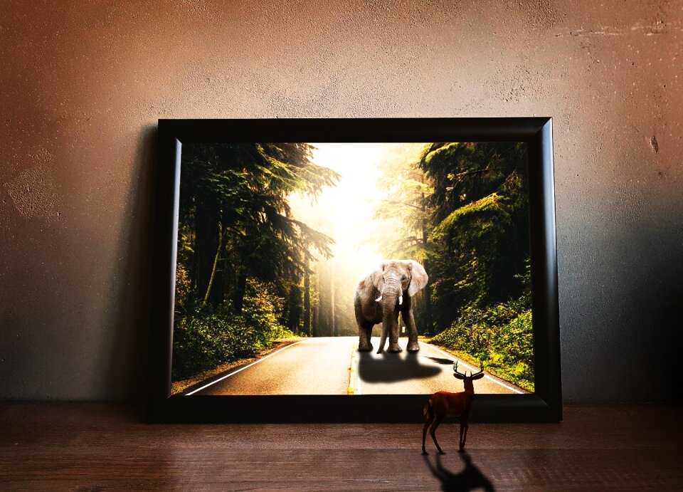 Nature elephant background
