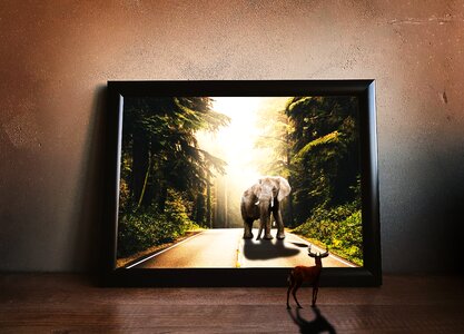 Nature elephant background