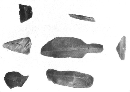 Feuersteinkleingeräte von Niederndodeleben, Barby, Gerwisch und Biederitz Die Stielspitze in der Mitte ist 5 cm lang