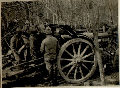 Feuernde 15 cm Haubitze im Taslanwald, südlich Beletesti (BildID 15545175)
