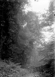 Ffrwd Falls (4786006)