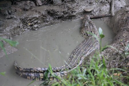 Sundarbans kolkata story tours