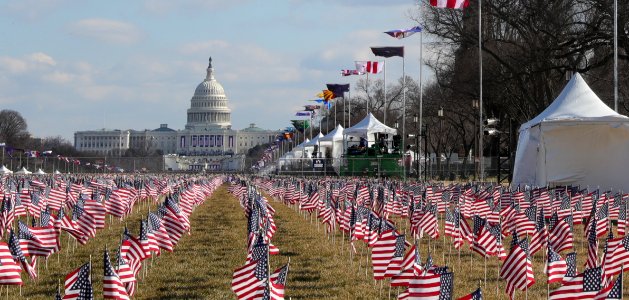Field of Flags (cropped)