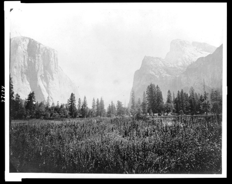 Field and mountains, including Half Dome, Yosemite National Park, California LCCN89711006