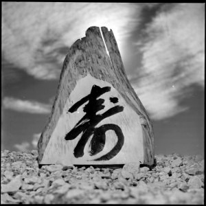 Granada Relocation Center, Amache, Colorado. Name plate made of slab of cottonwood tree. - NARA - 539919 photo