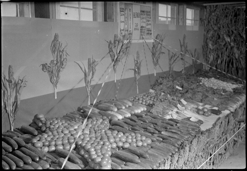 Granada Relocation Center, Amache, Colorado. Third-prize-winning booth, Amache Agricultural fair, S . . . - NARA - 537363