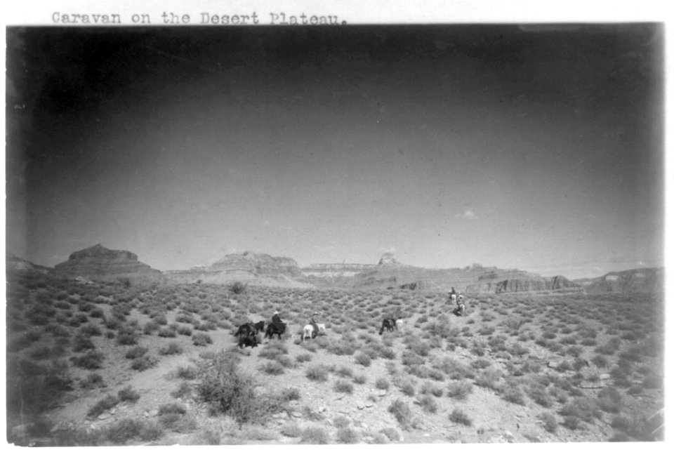 Grand Canyon and vicinity)- Caravan on the desert plateau LCCN2002718449