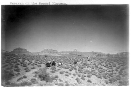 Grand Canyon and vicinity)- Caravan on the desert plateau LCCN2002718449