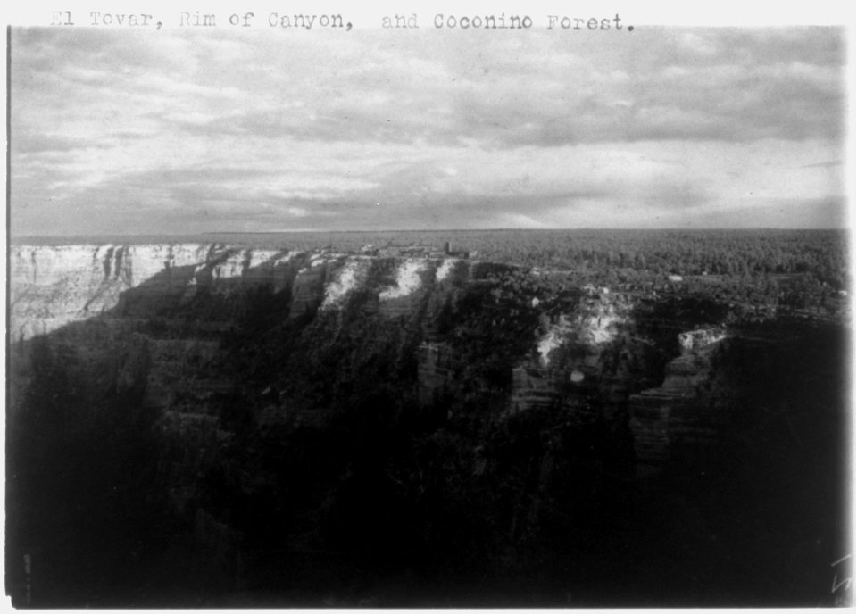 Grand Canyon)- El Tovar, rim of canyon, and Coconino Forest LCCN2002715950