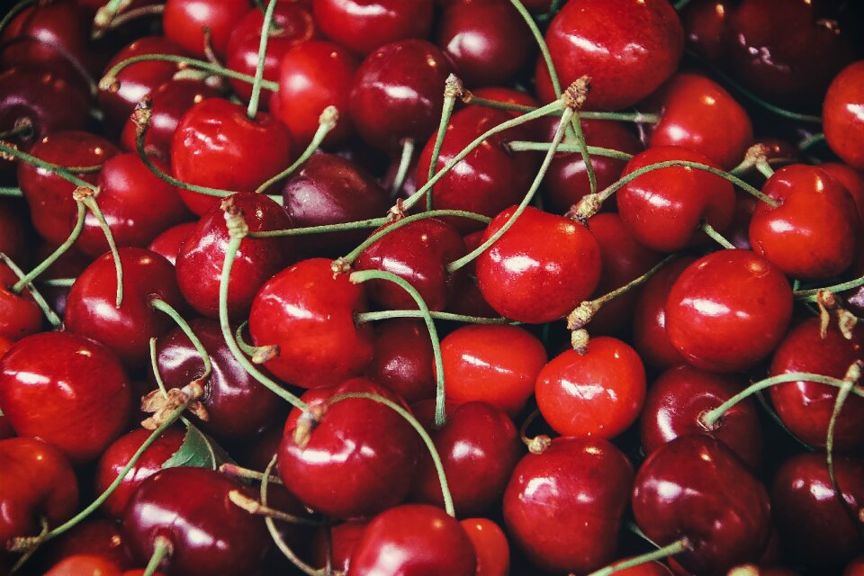 Fresh delicious eat