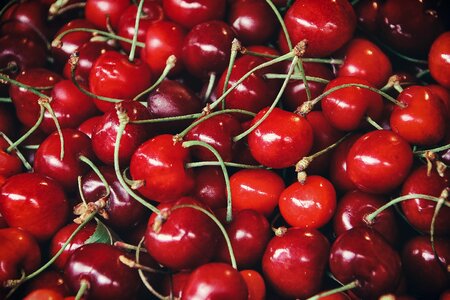 Fresh delicious eat