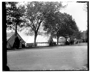 G.A.R. encampment, Oct. 1902, street scene LCCN2016844462