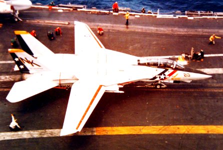 Grumman F-14A Tomcat of VF-2 aboard USS Enterprise (CVAN-65) on 17 March 1975 (428-GX-K-107378)
