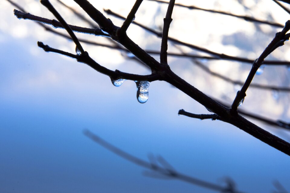 Frozen drop of water mirroring