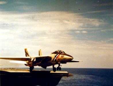 Grumman F-14A Tomcat of VF-2 takes off from USS Enterprise (CVN-65) on 26 October 1976 (428-GX-KN-25691)