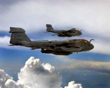 Grumman EA-6B Prowlers of VAQ-139 in flight, in 2004 (6640863)
