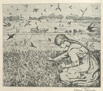 Hans Thoma Helene Böhlau Sommerbuch 1903