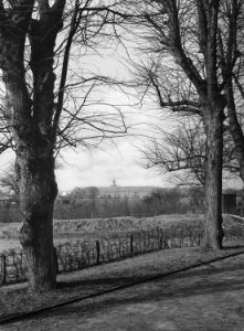 HANSif1036 Altersheim Groß-Borstel