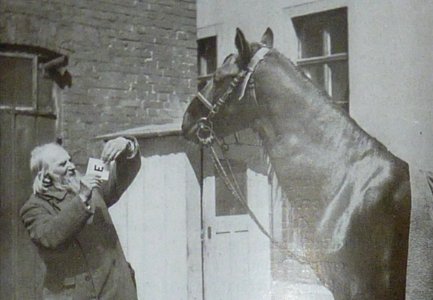 Hans lernt offen 2