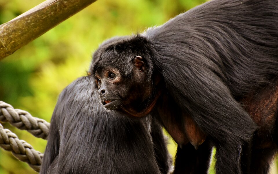Cute animal world tierpark hellabrunn
